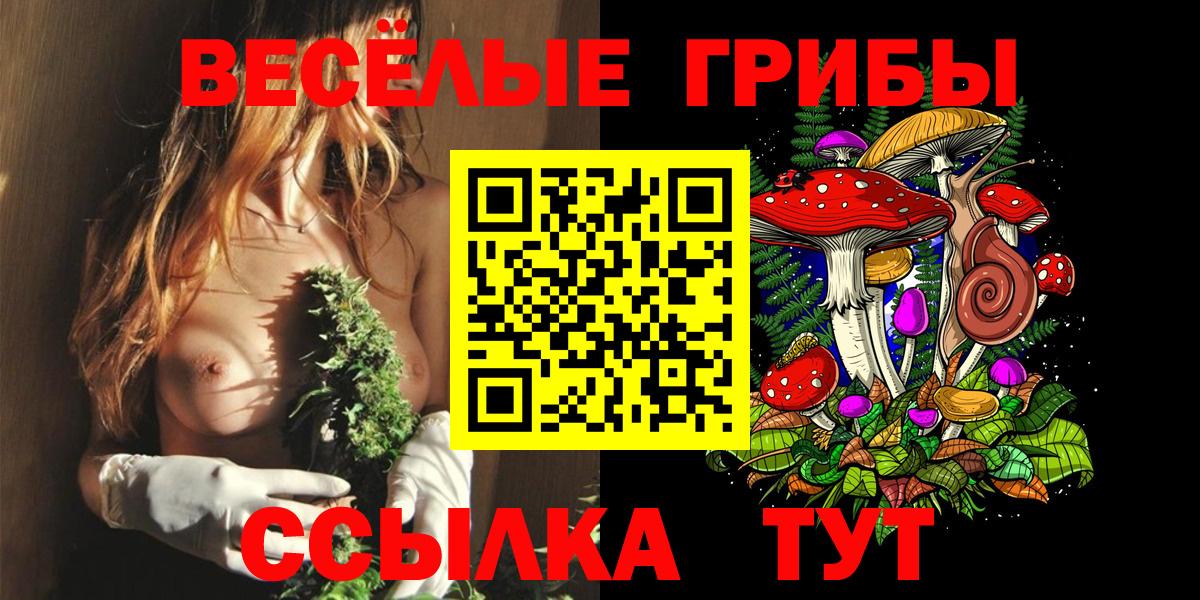Псилоцибиновые грибы мухоморы  Галлюциногенные грибы Magic Shrooms  Дербент  дарнет шоп  Вход с VPN 
